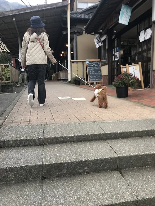 大山阿夫利神社にケーブルカーで愛犬と行く