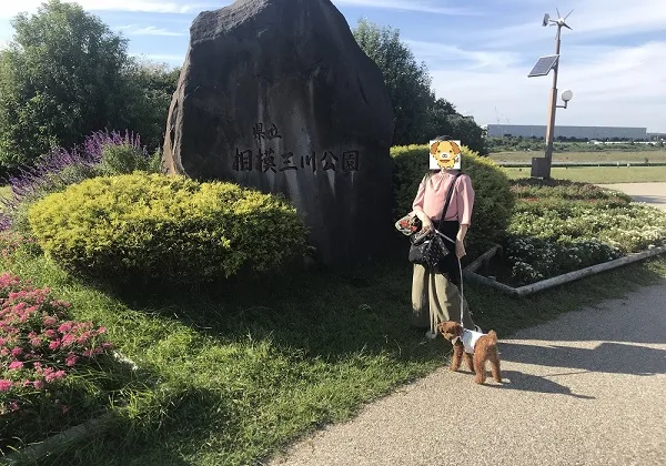 海老名の相模三川公園に行く途中、 「THUNDER」で犬連れランチ